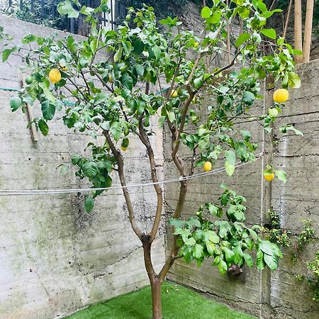 Lemon Tree Resort - Freeparking - Garden Genua Exteriör bild